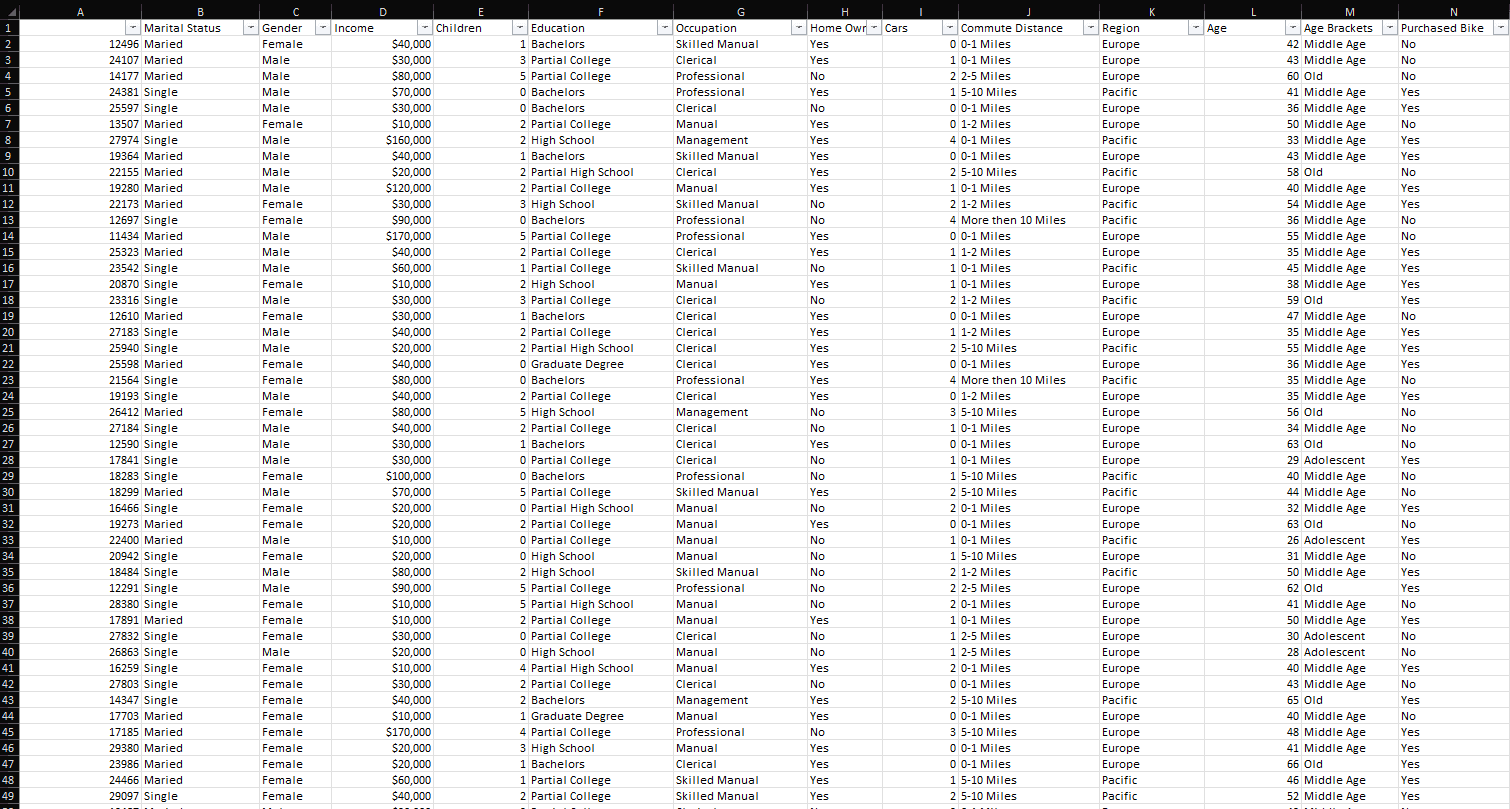 Cleaned Data Screenshot